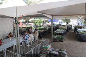XIII Festival de Flores de Holambra
