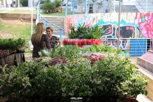 XIII Festival de Flores de Holambra