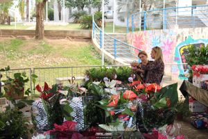 XIII Festival de Flores de Holambra