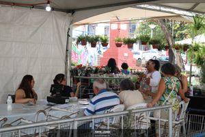 XIII Festival de Flores de Holambra