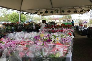 XIII Festival de Flores de Holambra