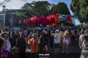 Desfile do Bloco Pirarucu do Madeira 