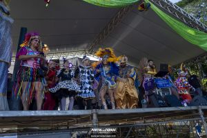 Desfile do Bloco Pirarucu do Madeira 