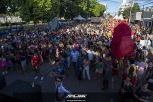 Desfile do Bloco Pirarucu do Madeira 