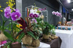 42&ordf; edi&ccedil;&atilde;o da Feira Varanda Criativa 
