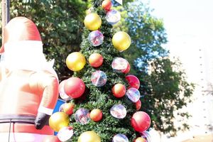 CARREATA DO PAPAI NOEL