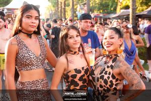 CARNAVAL 2026 - DOMINGO