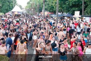CARNAVAL 2026 - DOMINGO