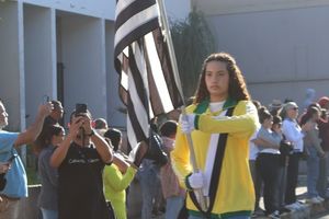 DESFILE C&Iacute;VICO &ndash; 132 ANOS DE RIO DAS PEDRAS
