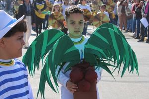 DESFILE C&Iacute;VICO &ndash; 132 ANOS DE RIO DAS PEDRAS