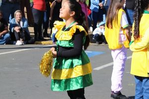 DESFILE C&Iacute;VICO &ndash; 132 ANOS DE RIO DAS PEDRAS