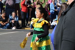 DESFILE C&Iacute;VICO &ndash; 132 ANOS DE RIO DAS PEDRAS