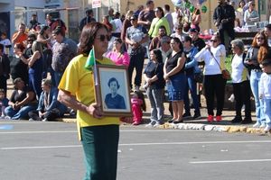 DESFILE C&Iacute;VICO &ndash; 132 ANOS DE RIO DAS PEDRAS