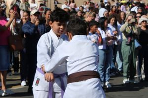 DESFILE C&Iacute;VICO &ndash; 132 ANOS DE RIO DAS PEDRAS