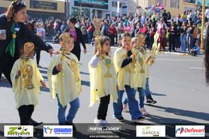 DESFILE C&Iacute;VICO &ndash; 132 ANOS DE RIO DAS PEDRAS