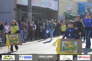 DESFILE C&Iacute;VICO &ndash; 132 ANOS DE RIO DAS PEDRAS