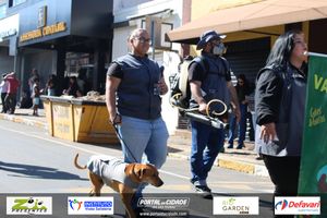 DESFILE C&Iacute;VICO &ndash; 132 ANOS DE RIO DAS PEDRAS