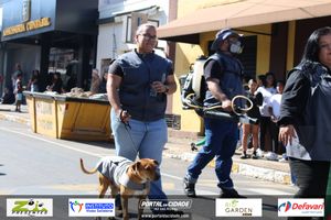 DESFILE C&Iacute;VICO &ndash; 132 ANOS DE RIO DAS PEDRAS