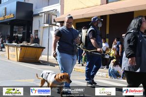 DESFILE C&Iacute;VICO &ndash; 132 ANOS DE RIO DAS PEDRAS