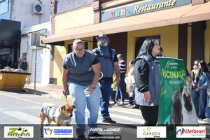 DESFILE C&Iacute;VICO &ndash; 132 ANOS DE RIO DAS PEDRAS