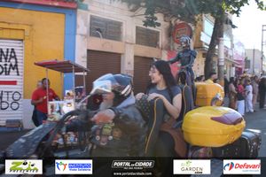 DESFILE C&Iacute;VICO &ndash; 132 ANOS DE RIO DAS PEDRAS