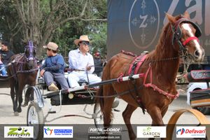 Desfile dos Cavaleiros e Charreteiros