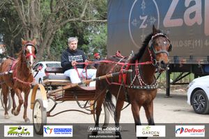 Desfile dos Cavaleiros e Charreteiros