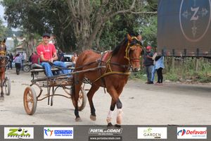 Desfile dos Cavaleiros e Charreteiros