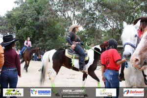 Desfile dos Cavaleiros e Charreteiros