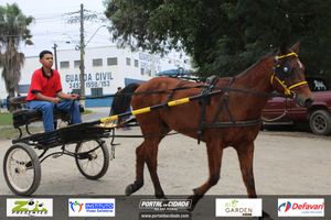 Desfile dos Cavaleiros e Charreteiros