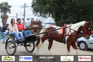 Desfile dos Cavaleiros e Charreteiros