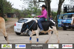 Desfile dos Cavaleiros e Charreteiros