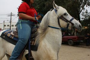 Desfile dos Cavaleiros e Charreteiros