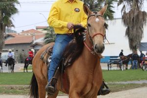 Desfile dos Cavaleiros e Charreteiros