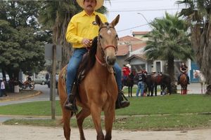 Desfile dos Cavaleiros e Charreteiros