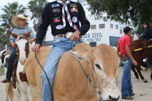 Desfile dos Cavaleiros e Charreteiros