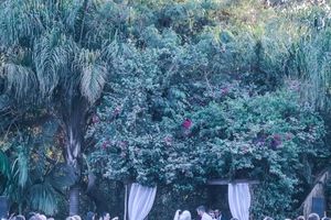 Casamento Let&iacute;cia e Vinicius