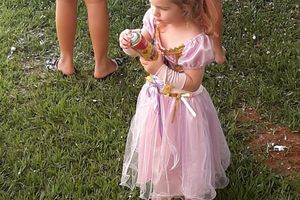 Carnaval S&atilde;o Carlos 2026 (1)