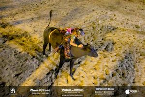 4&ordm; dia 8&ordf; EXPOMIG - S&atilde;o Miguel do Guapor&eacute;