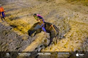 4&ordm; dia 8&ordf; EXPOMIG - S&atilde;o Miguel do Guapor&eacute;
