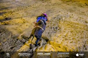 4&ordm; dia 8&ordf; EXPOMIG - S&atilde;o Miguel do Guapor&eacute;