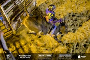 4&ordm; dia 8&ordf; EXPOMIG - S&atilde;o Miguel do Guapor&eacute;