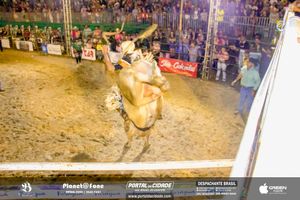5&ordm; dia 8&ordf; EXPOMIG - S&atilde;o Miguel do Guapor&eacute;