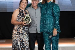 Destaques do Ano Braslopes 2023