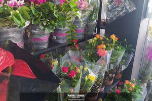  Inaugura&ccedil;&atilde;o do primeiro Bahniuk Supermercado de Porto Uni&atilde;o