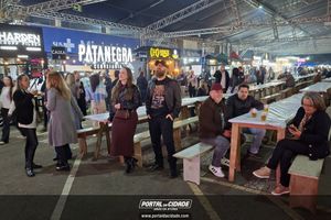Festival da Cerveja