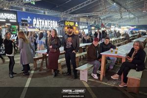 Festival da Cerveja