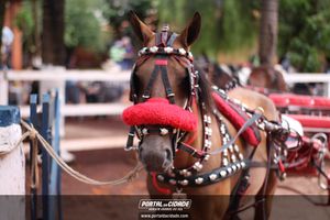 Cavalgada Cozinha do Gury