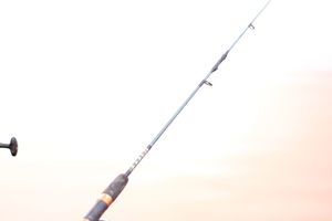 7&ordm; Torneio de Pesca