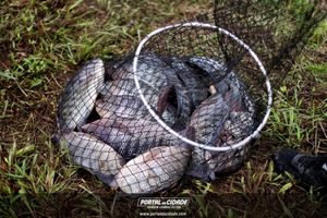 7&ordm; Torneio de Pesca